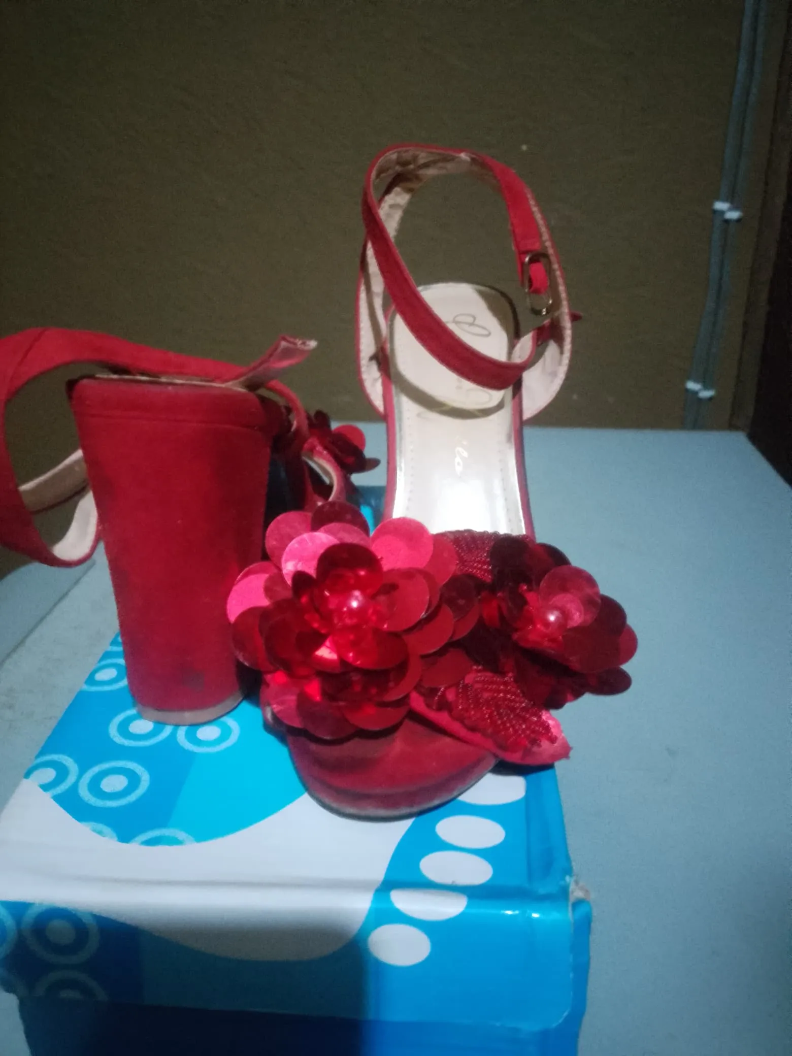 Ladies Shoe 